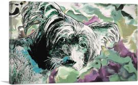 Chinese Crested Dog Breed Colorful-1-Panel-26x18x1.5 Thick