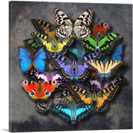 Modern A Circle of Butterflies-1-Panel-26x26x.75 Thick