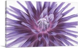 Big Purple Flower Home decor-1-Panel-60x40x1.5 Thick