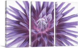 Big Purple Flower Home decor-3-Panels-90x60x1.5 Thick