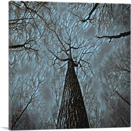 Tall Tree Blue Forest Painting Home decor-1-Panel-12x12x1.5 Thick