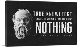 True Knowledge Exists in Knowing Socrates-1-Panel-60x40x1.5 Thick