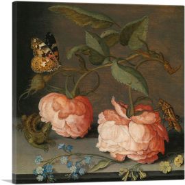 Still Life With Roses, Butterfly and a Grasshopper-1-Panel-12x12x1.5 Thick