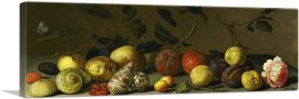 Still Life With Fruit, Shells, Rose Panoramic-1-Panel-36x12x1.5 Thick