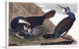 Common Cormorant-1-Panel-12x8x.75 Thick