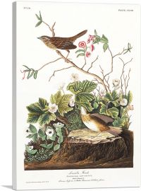 Lincoln Finch-1-Panel-40x26x1.5 Thick