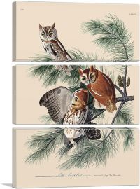Little Screech Owl-3-Panels-90x60x1.5 Thick