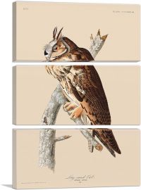 Long Eared Owl-3-Panels-90x60x1.5 Thick