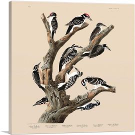 Marias Woodpecker-1-Panel-26x26x.75 Thick