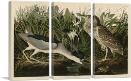 Black-Crowned Night-Heron-3-Panels-60x40x1.5 Thick