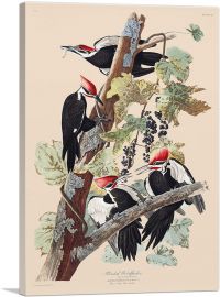 Pileated Woodpecker-1-Panel-26x18x1.5 Thick