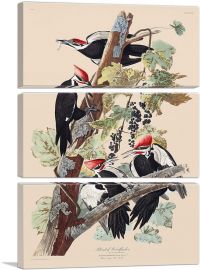 Pileated Woodpecker-3-Panels-60x40x1.5 Thick