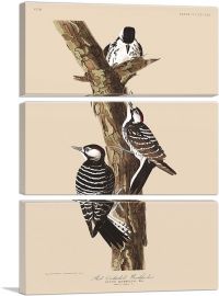 Red Cockaded Woodpecker-3-Panels-90x60x1.5 Thick
