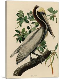 Brown Pelican-1-Panel-18x12x1.5 Thick