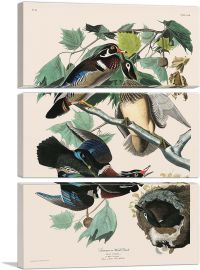 Wood Duck-3-Panels-60x40x1.5 Thick