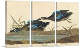 Blue-Winged Teal-3-Panels-90x60x1.5 Thick