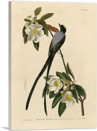 Fork-Tailed Flycatcher-1-Panel-60x40x1.5 Thick