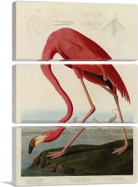 American Flamingo-3-Panels-90x60x1.5 Thick