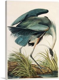 Great Blue Heron-1-Panel-18x12x1.5 Thick
