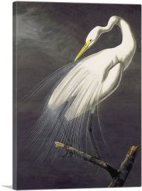 Great Egret-1-Panel-12x8x.75 Thick