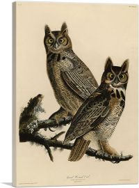 Great Horned Owl-1-Panel-26x18x1.5 Thick