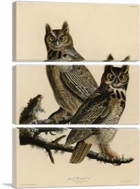 Great Horned Owl-3-Panels-60x40x1.5 Thick