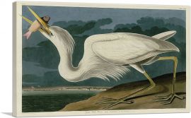 Great White Heron-1-Panel-40x26x1.5 Thick