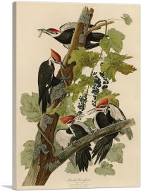 Pileated Woodpecker-1-Panel-18x12x1.5 Thick