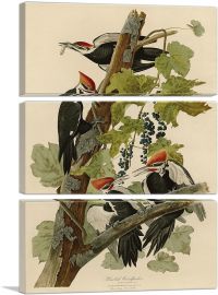 Pileated Woodpecker-3-Panels-90x60x1.5 Thick