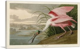 Roseate Spoonbill-1-Panel-18x12x1.5 Thick