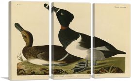 Tufted Duck-3-Panels-90x60x1.5 Thick
