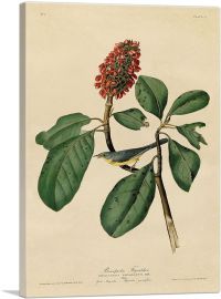 Warbler Bird on a Magnolia Branch-1-Panel-12x8x.75 Thick