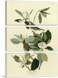 Warbling Flycatcher-3-Panels-60x40x1.5 Thick