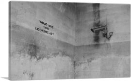 What Are You Looking At Security Camera-1-Panel-18x12x1.5 Thick