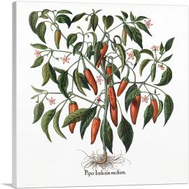 Red Pepper Plant-1-Panel-18x18x1.5 Thick
