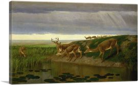 Deer on the Prairie-1-Panel-18x12x1.5 Thick
