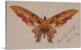 Butterfly 1896-1-Panel-26x18x1.5 Thick