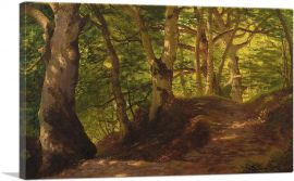 A Path Through The Forest-1-Panel-12x8x.75 Thick