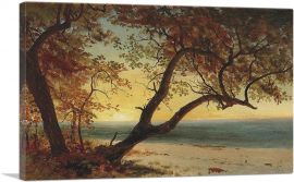 Landscape In The Bahamas 1890-1-Panel-12x8x.75 Thick