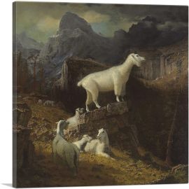 Rocky Mountain Goats-1-Panel-12x12x1.5 Thick