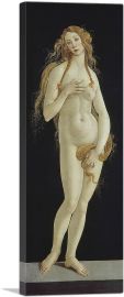 Venus 1490-1-Panel-36x12x1.5 Thick