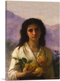 Girl Holding Lemons 1889-1-Panel-12x8x.75 Thick