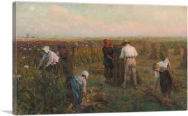 Harvesting The Oil Poppies-1-Panel-18x12x1.5 Thick