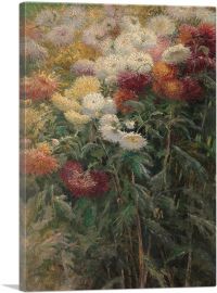 Clump Of Chrysanthemums Garden Petit Gennevilliers 1893-1-Panel-26x18x1.5 Thick