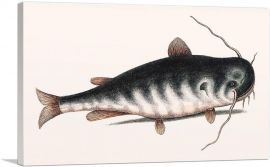 Cat Fish-1-Panel-26x18x1.5 Thick