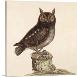 Eastern Screech Owl-1-Panel-18x18x1.5 Thick