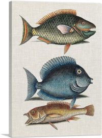 Parrot Fish Tang Fish And Yellow Fish-1-Panel-18x12x1.5 Thick