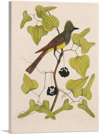 The Crested Fly Catcher-1-Panel-12x8x.75 Thick