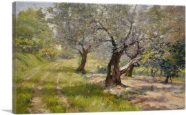 The Olive Grove 1901-1-Panel-26x18x1.5 Thick