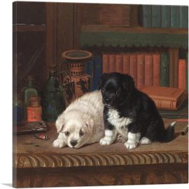 Black And White Puppies-1-Panel-18x18x1.5 Thick